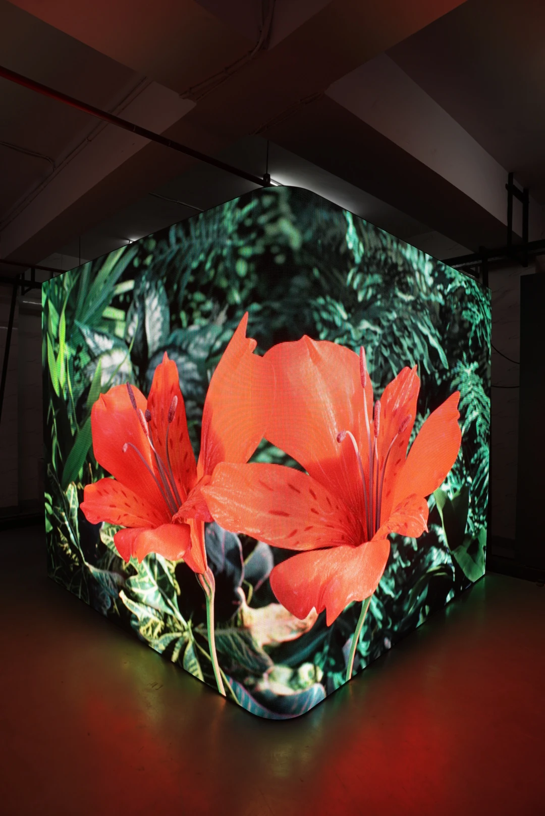 3D Anamorphic Series